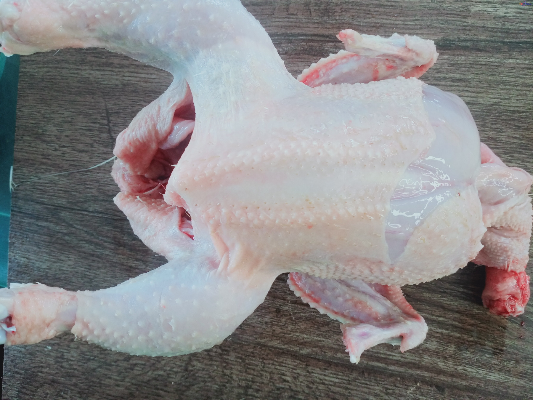 Farming White Meat